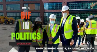 Understanding BIF: Its Role and Impact in Modern Politics