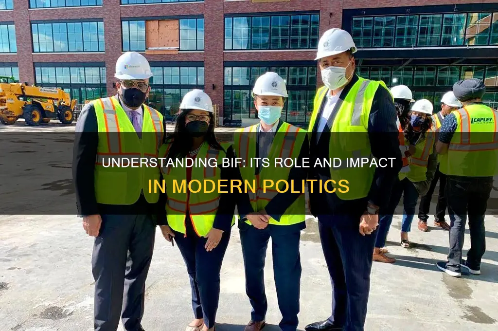 what is bif in politics