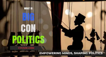 Big Con Politics: Unmasking Deception in Modern Political Strategies