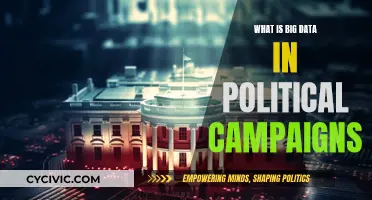 Big Data's Role in Political Campaigns
