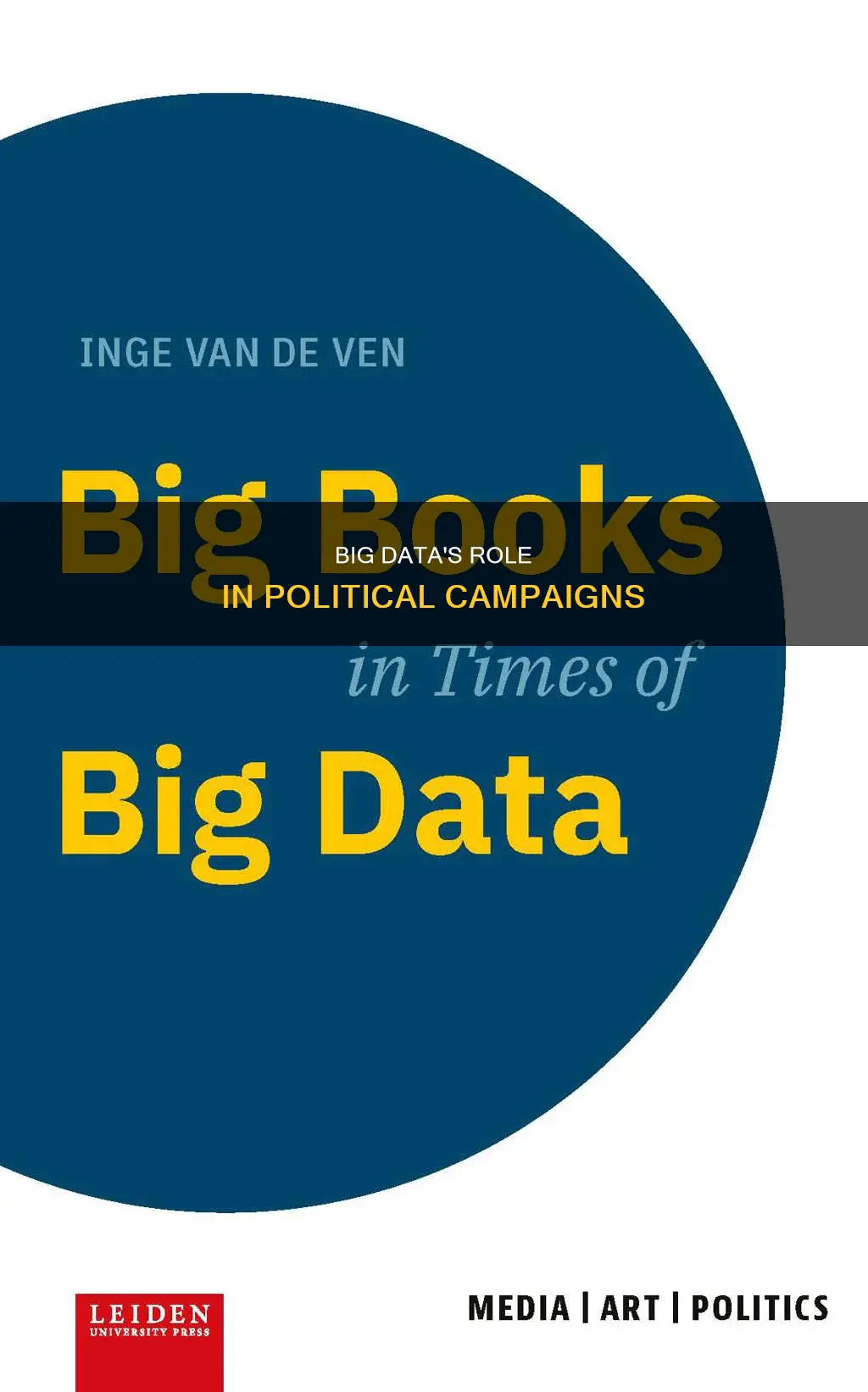 what is big data in political campaigns