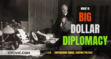 Dollar Diplomacy: Big Money, Big Influence
