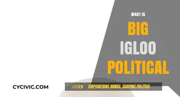 Understanding Big Igloo Politics: Origins, Impact, and Modern Relevance Explained