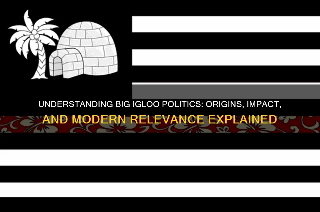 what is big igloo political