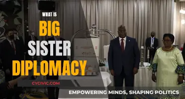 Big Sister Diplomacy: A Guide to Sisterly International Relations