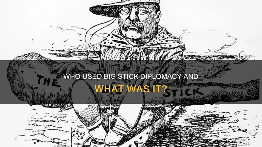 what is big stick diplomacy and which president advocated it