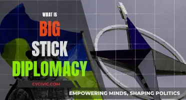 The Big Stick Diplomacy: A Forceful Foreign Policy Approach