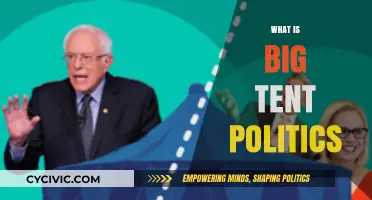 Understanding Big Tent Politics: Inclusive Strategies for Diverse Political Parties