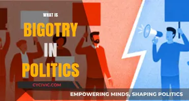 Understanding Bigotry's Role in Political Discourse and Its Impact