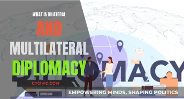 Diplomacy in Action: Bilateral and Multilateral Efforts