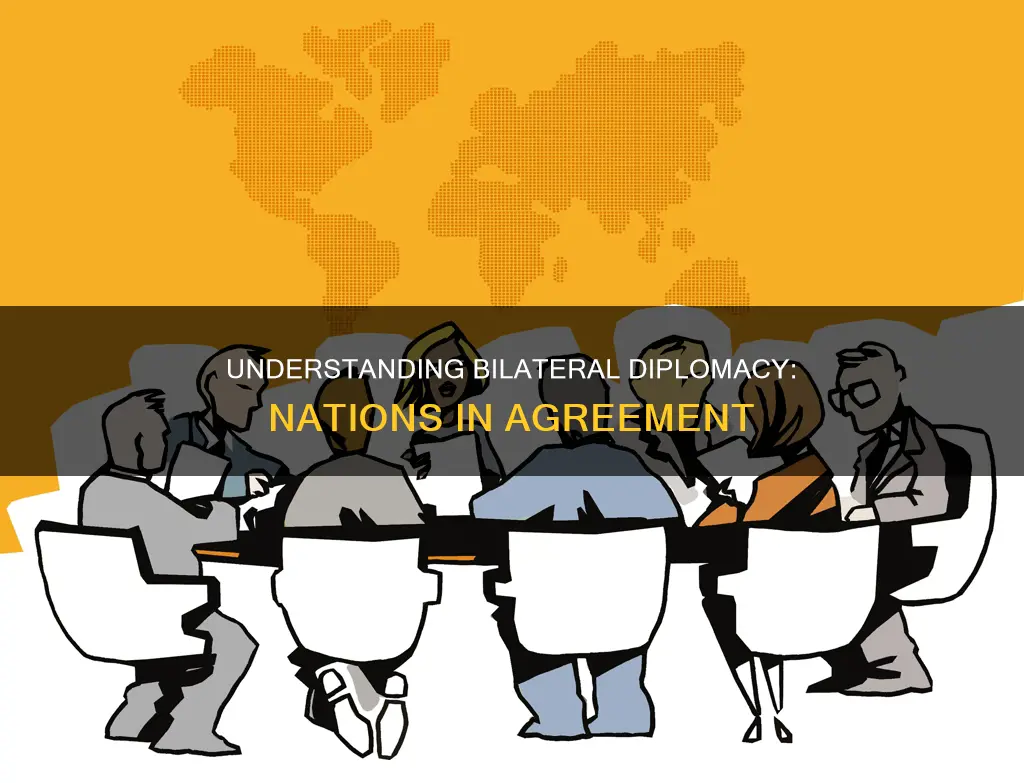 what is bilateral diplomacy