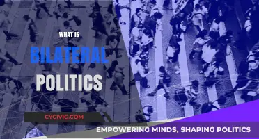 Understanding Bilateral Politics: Key Concepts, Dynamics, and Global Impact
