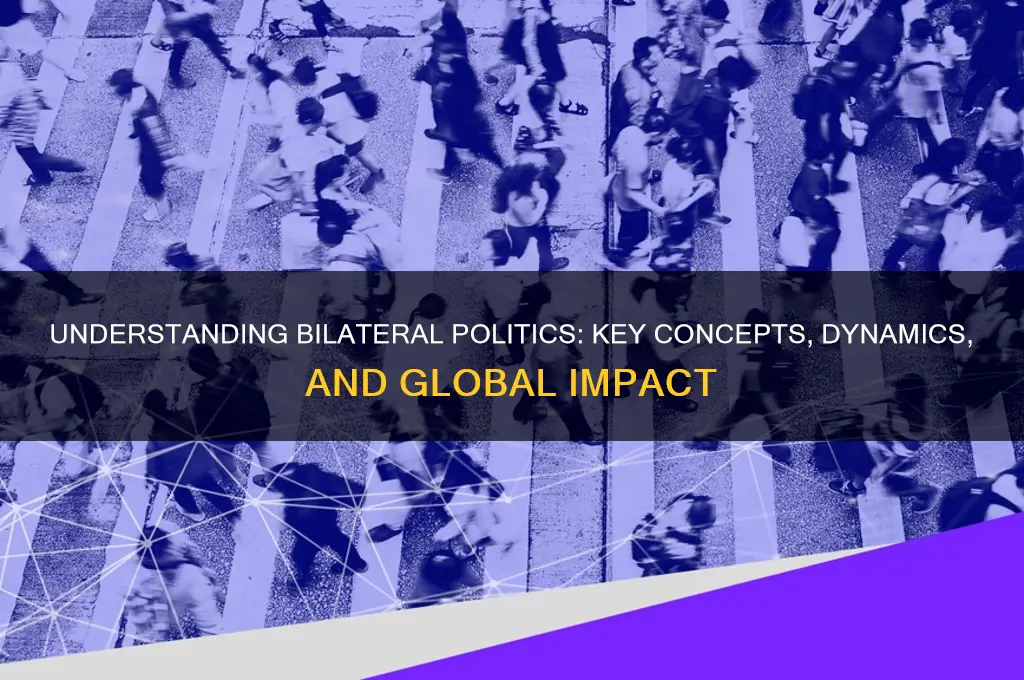 what is bilateral politics