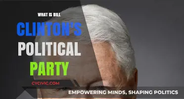 Bill Clinton's Political Party: Understanding His Democratic Affiliation