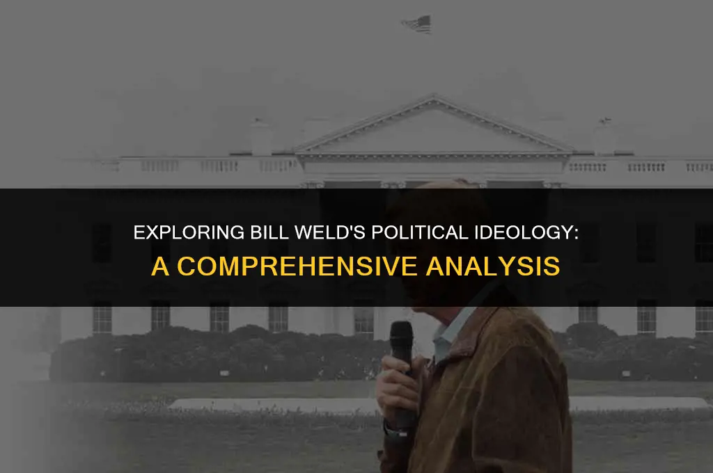 what is bill weld political views