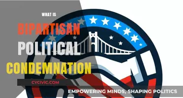 Understanding Bipartisan Political Condemnation: Unity in Criticism Across Party Lines