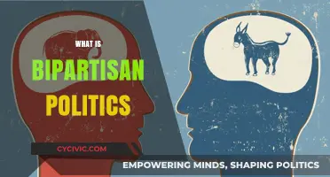 Understanding Bipartisan Politics: Bridging the Divide in Modern Governance