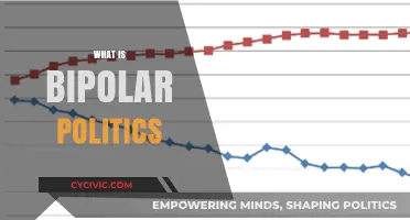 Understanding Bipolar Politics: Polarization, Division, and Its Global Impact