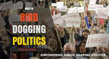 Bird Dogging Politics: Understanding Activist Tactics in Modern Campaigns