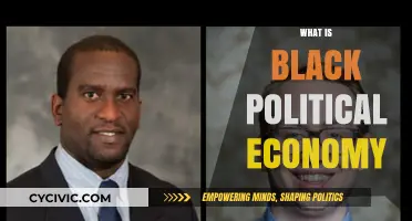 Understanding Black Political Economy: Power, History, and Economic Justice Explained