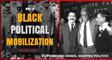 Understanding Black Political Mobilization: History, Strategies, and Impact