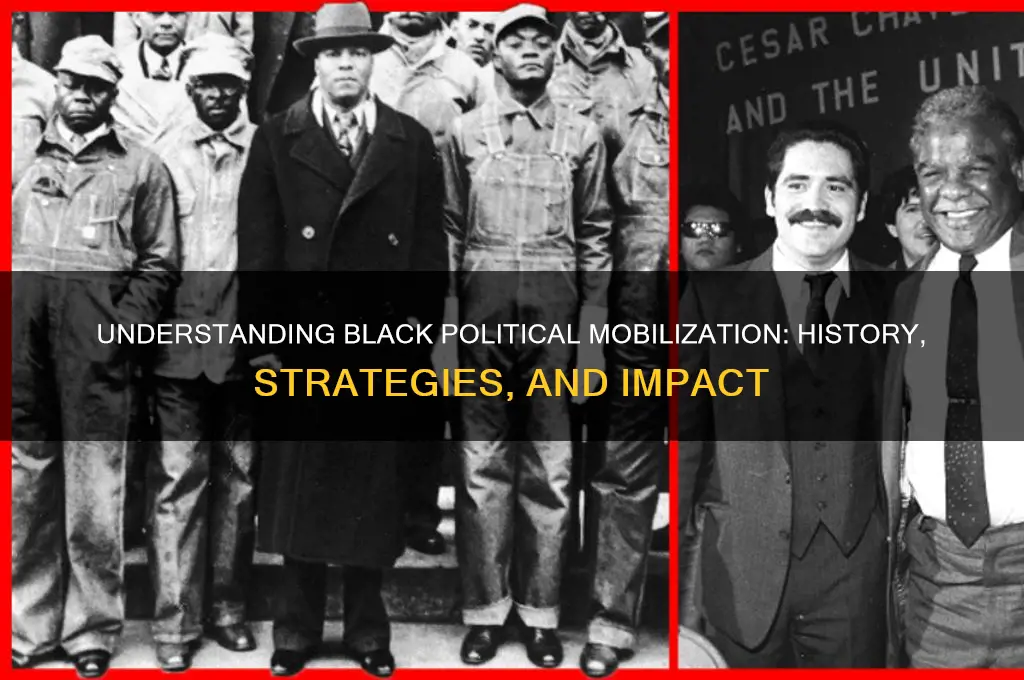what is black political mobilization