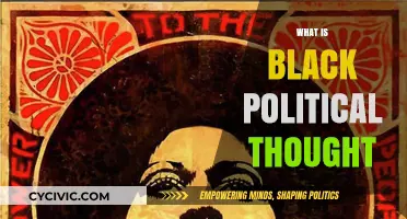 Exploring Black Political Thought: History, Theory, and Contemporary Relevance