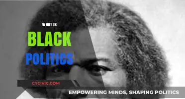 Understanding Black Politics: History, Impact, and Contemporary Issues Explained