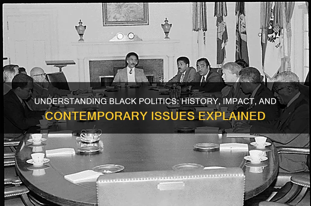 what is black politics