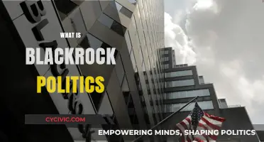 Understanding BlackRock's Political Influence and Global Economic Power