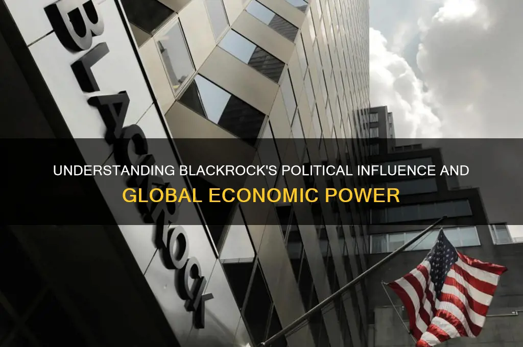 what is blackrock politics