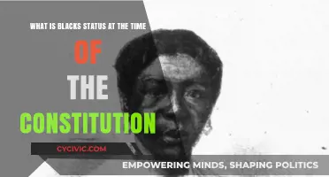 The Constitution and Black Americans: A Historical Perspective