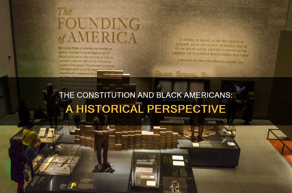 what is blacks status at the time of the constitution