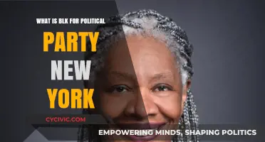 Understanding the BLK Agenda for New York's Political Party