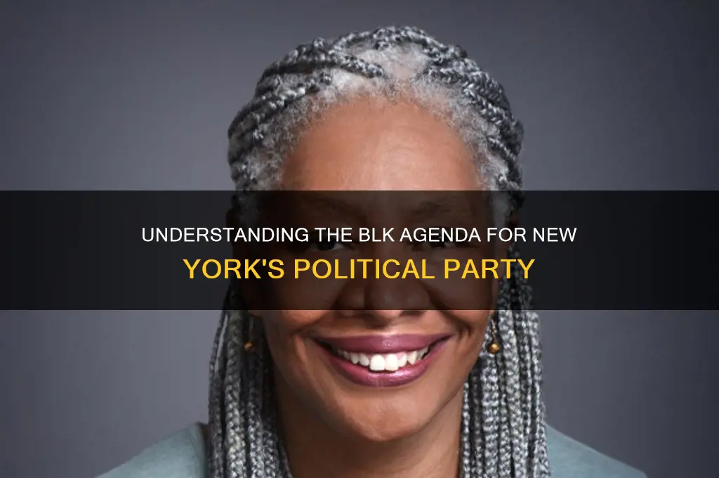 what is blk for political party new york