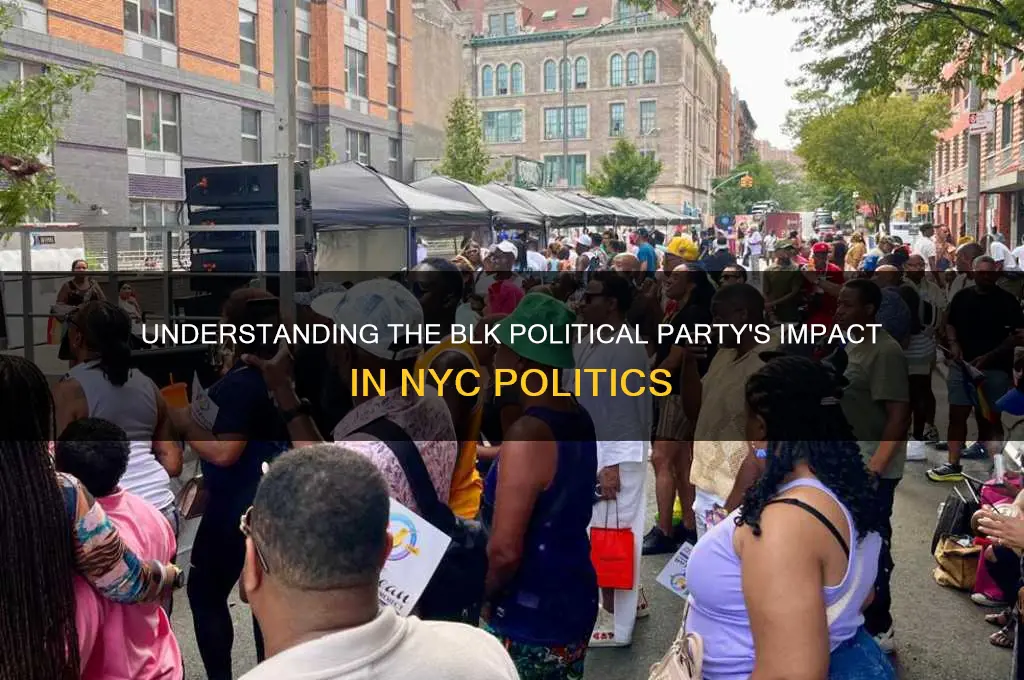 what is blk political party nyc