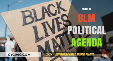 Understanding the Black Lives Matter Movement's Political Goals and Impact