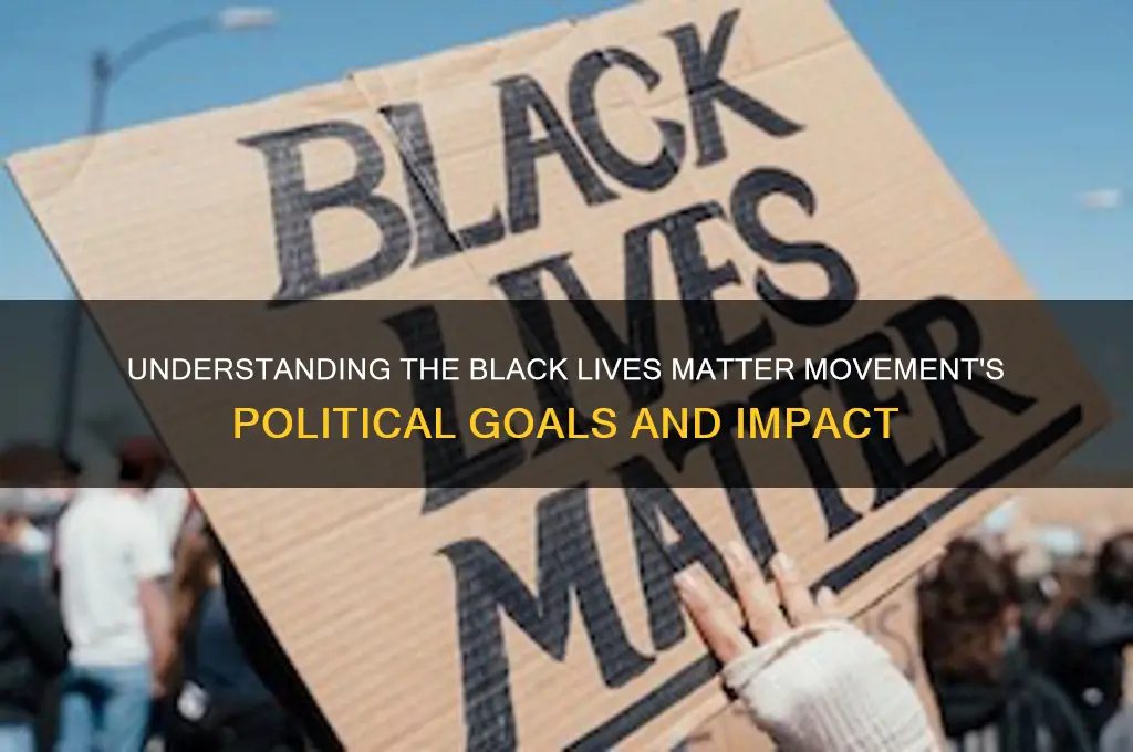 what is blm political agenda