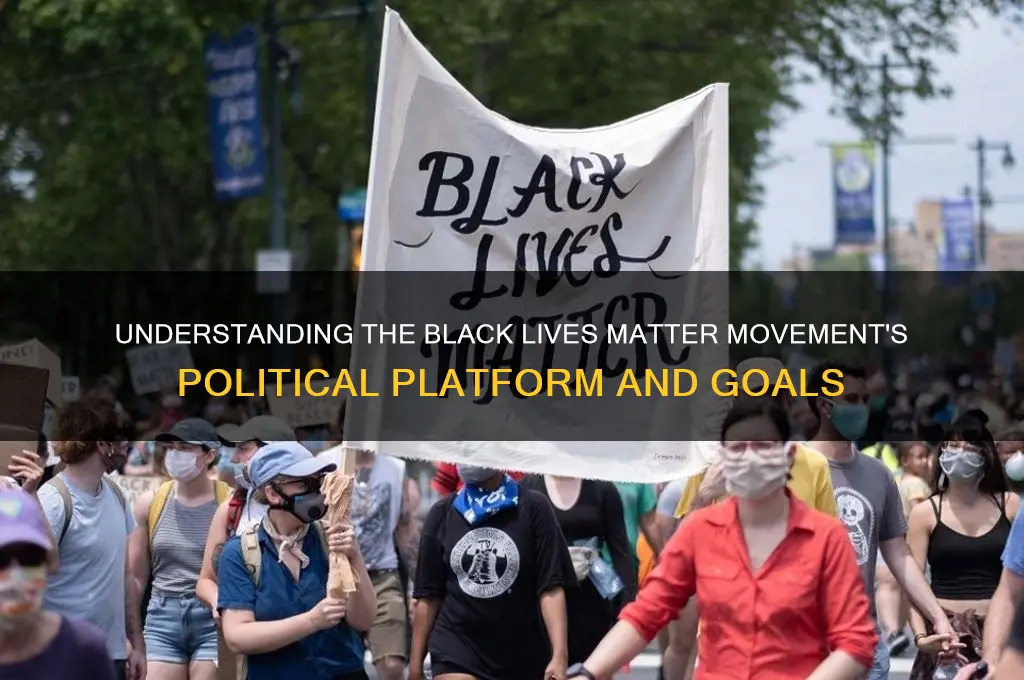 what is blm political platform
