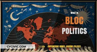 Understanding Bloc Politics: Global Alliances, Power Dynamics, and Geopolitical Strategies