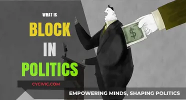 Understanding Political Blocks: Their Role, Impact, and Influence in Politics