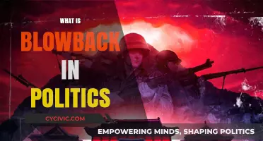 Understanding Blowback: Political Consequences of International Interventions Explained