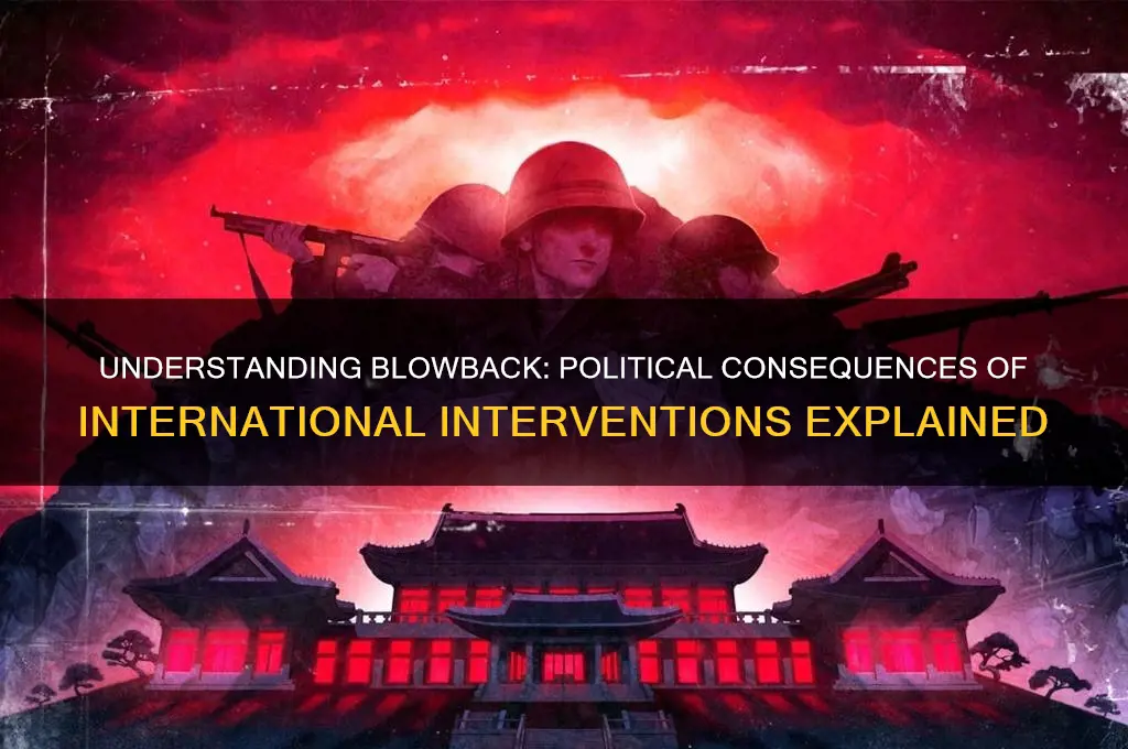 what is blowback in politics