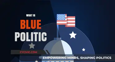 Understanding Blue Politics: Ideologies, Impact, and Modern Relevance Explained