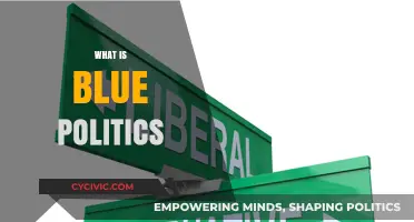 Understanding Blue Politics: A Comprehensive Guide to Liberal Ideologies