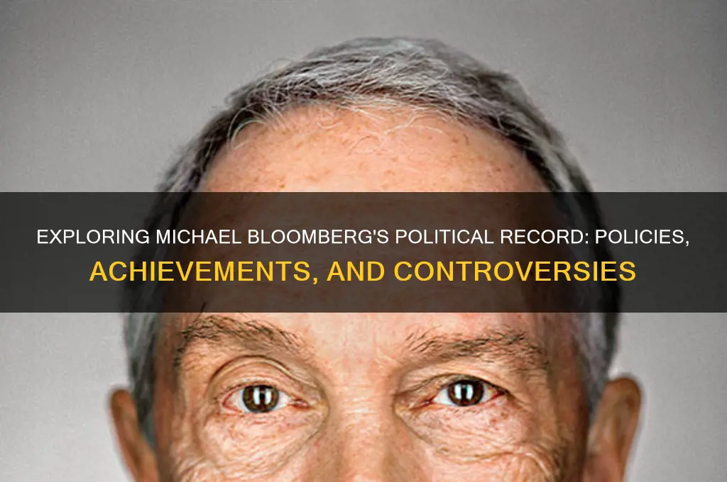 what is blumberg political record