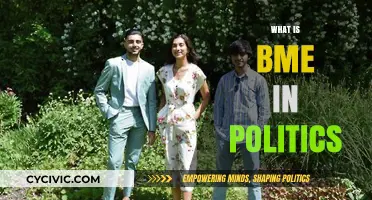 Understanding BME Representation and Impact in Modern Politics