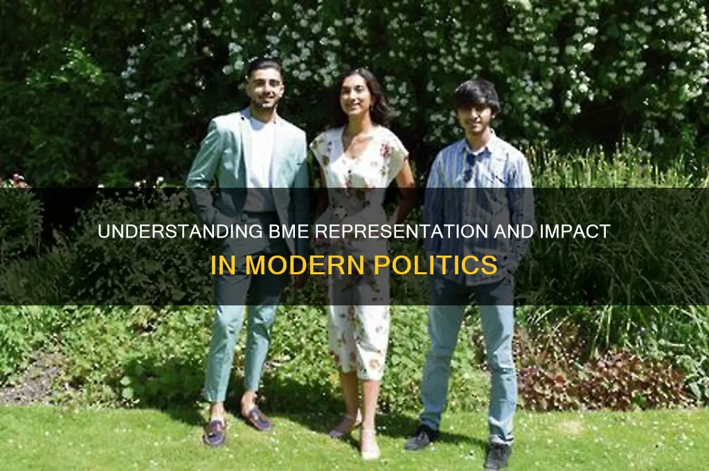 what is bme in politics