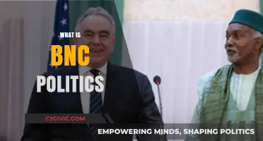 Understanding BNC Politics: A Comprehensive Guide to Its Core Principles