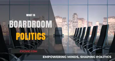 Navigating Boardroom Politics: Strategies for Influence and Effective Leadership